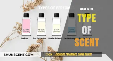 Exploring the Different Types of Scents and Their Unique Characteristics