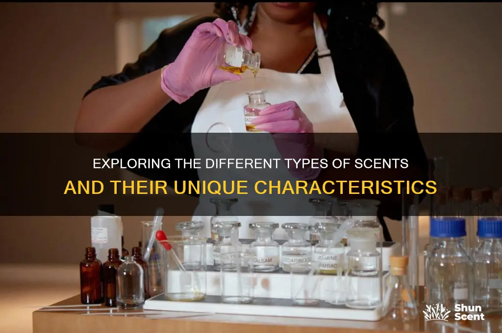 what is the type of scent