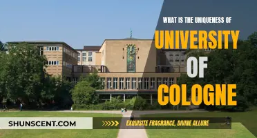 Cologne University: A Unique German Academic Experience