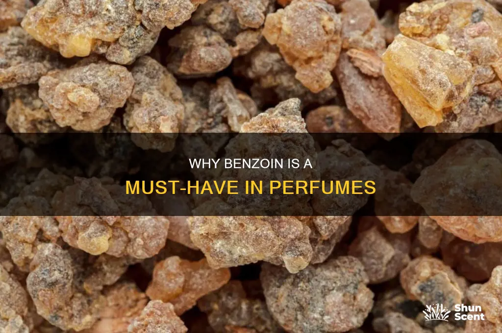 what is the use of benzoin in perfume