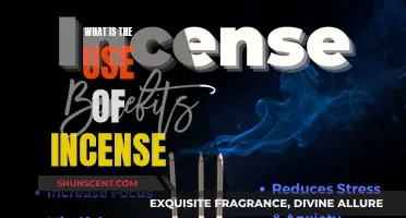 Incense: Enhancing Your Space and Mind