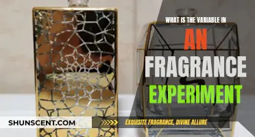 The Intriguing Variable in Fragrance Experiments