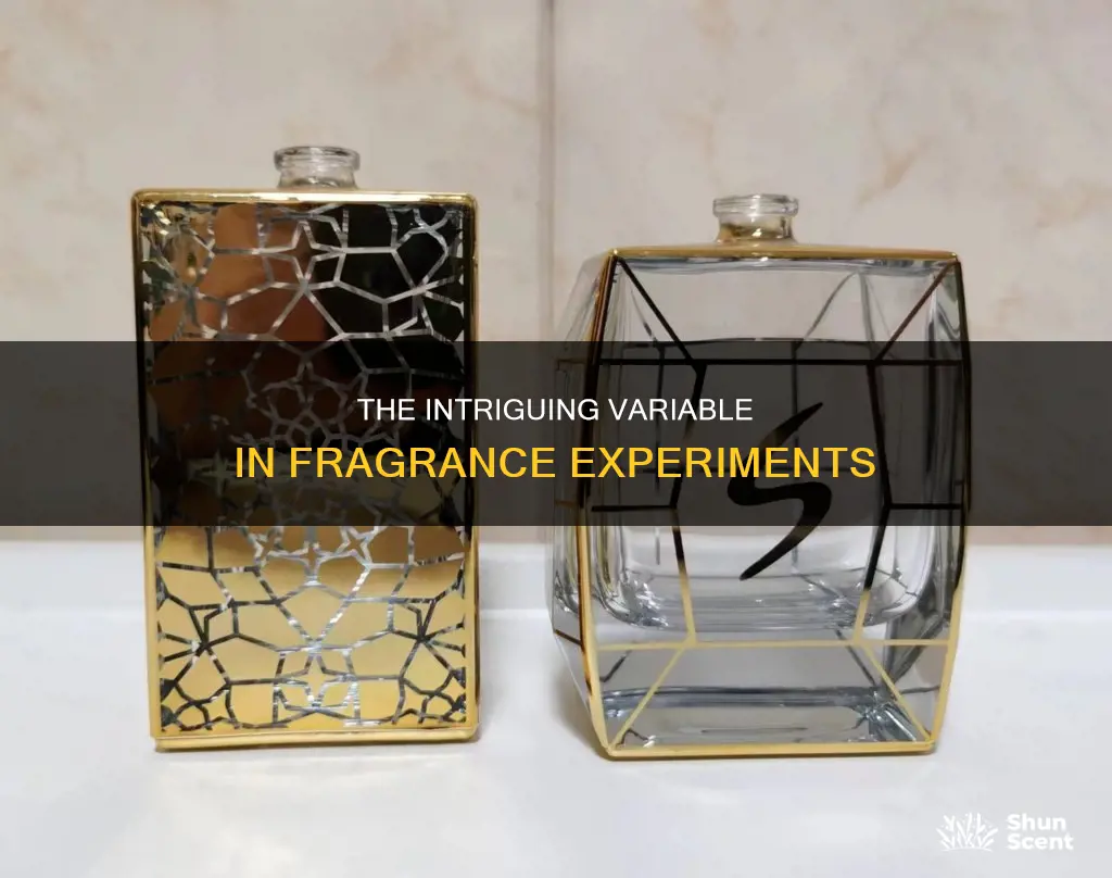 what is the variable in an fragrance experiment
