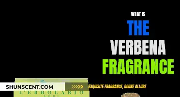 Verbena Fragrance: A Fresh, Citrusy Scent for Summer