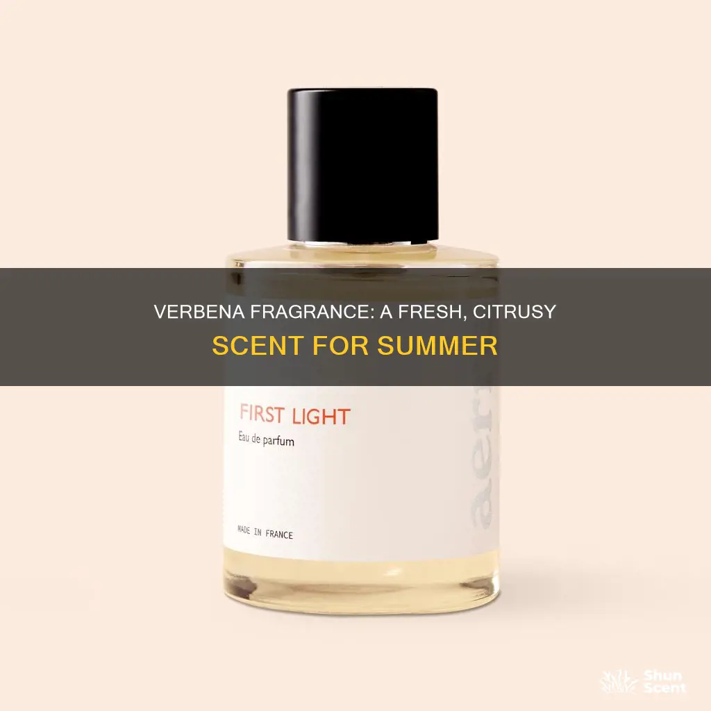 what is the verbena fragrance
