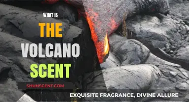 Unveiling the Mystique: Understanding the Unique Volcano Scent Phenomenon