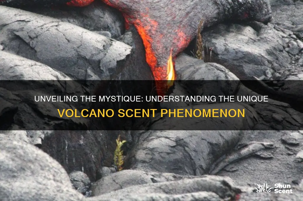 what is the volcano scent