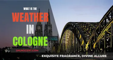 Weather in Cologne: A Local's Guide to the Climate