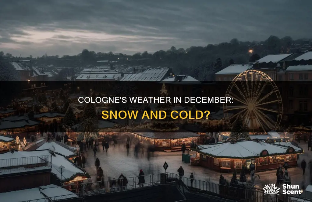 what is the weather like in cologne in december