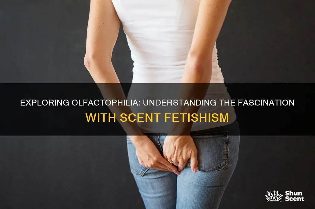 what is the word for scent fetish