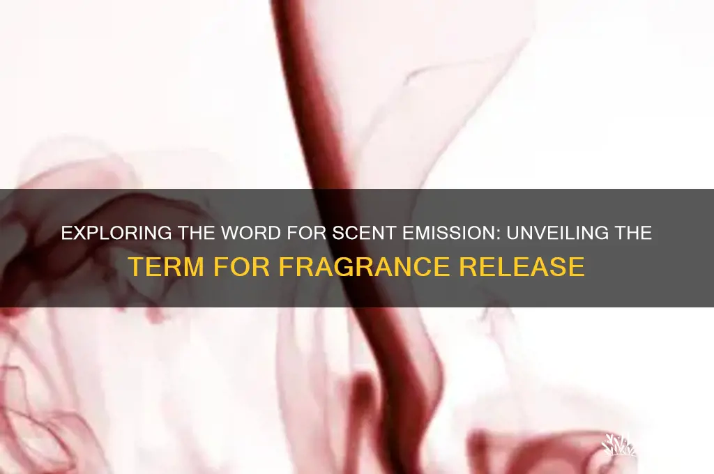 what is the word for something giving off a scent