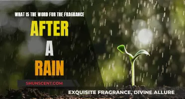 The Sweet Smell of Rain: Unveiling Petrichor's Magic