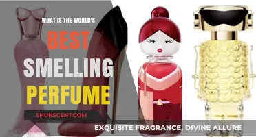 The Most Heavenly Scents: Best Perfumes in the World