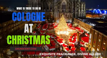 Christmas in Cologne: Festive Fun and Attractions