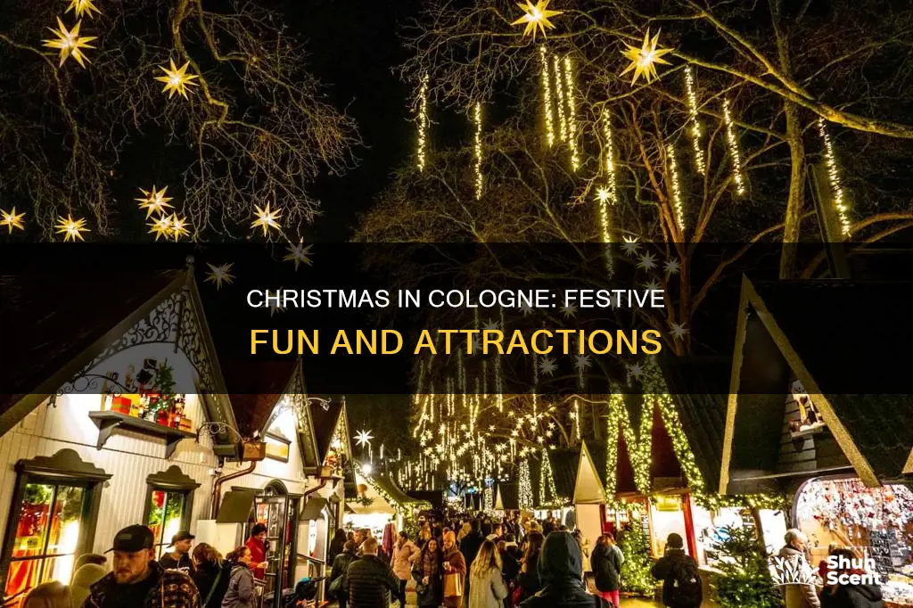 what is there to do in cologne at christmas