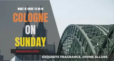 Exploring Cologne on Sundays: Things to Do and See