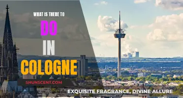 Explore Cologne: Attractions and Activities for Tourists