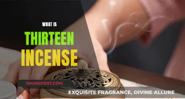 Incense Sticks: Thirteen Scents for a Relaxing Aromatic Experience