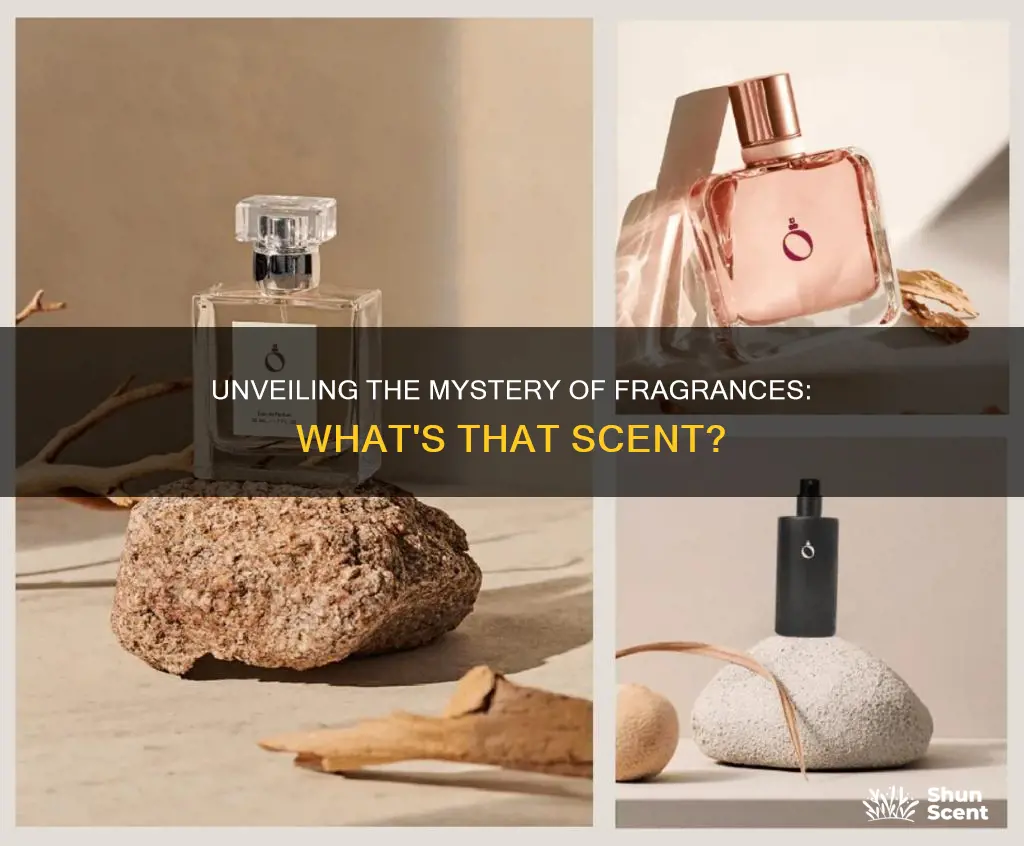 what is this fragrance