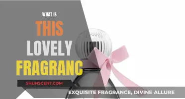 The Alluring Scent: Fragrance Exploration