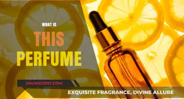 Discovering Scents: What's in a Perfume?
