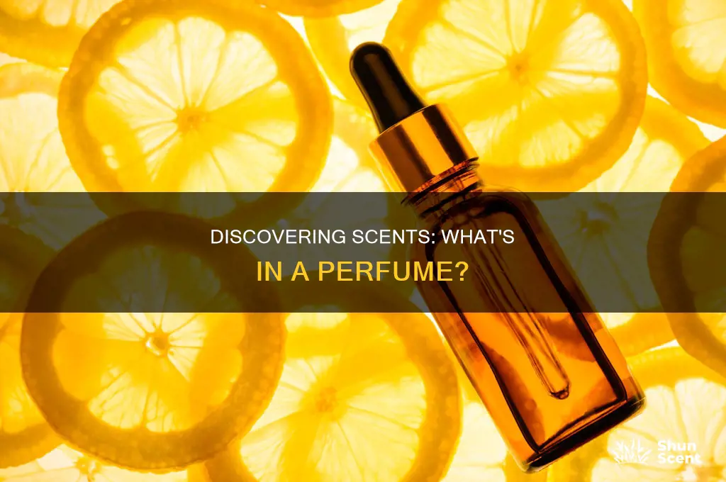 what is this perfume