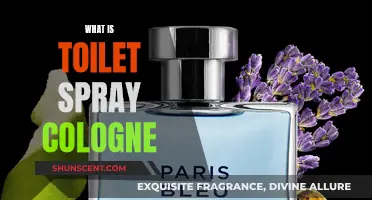 Toilet Spray Colognes: A Quick Fragrance Fix for Men