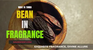 The Alluring Tonka Bean: A Fragrance Note Explained