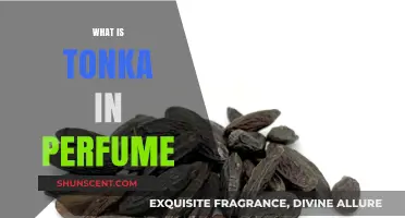 The Sweet, Sensual World of Tonka in Perfumes