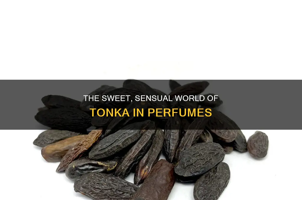 what is tonka in perfume