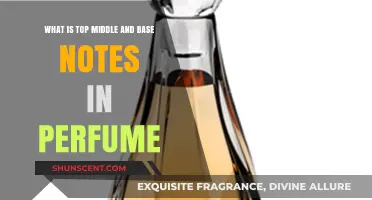 The Art of Perfume: Understanding Notes