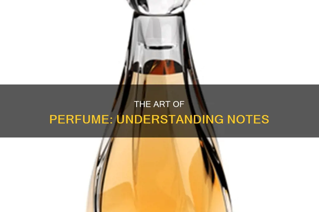 what is top middle and base notes in perfume