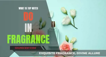 The Magic of Top Notes: Fragrance's First Impression