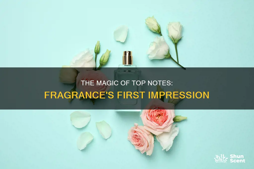 what is top notes do in fragrance