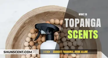 Discover the Allure of Topanga Scents: A Fragrant Journey