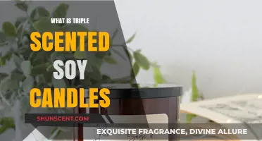 Triple Scented Soy Candles: Unveiling Aromatic Magic and Eco-Friendly Charm