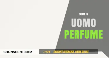 Uomo Perfume: The Scent of a Man
