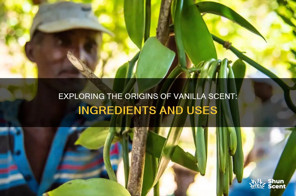 what is used for vanilla scent