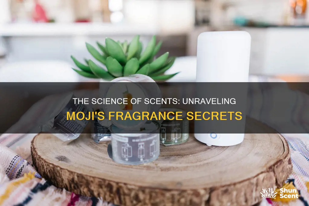 what is used in moji products fragrance