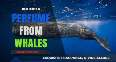 The Dark Truth Behind Perfumes: Whale Secretion