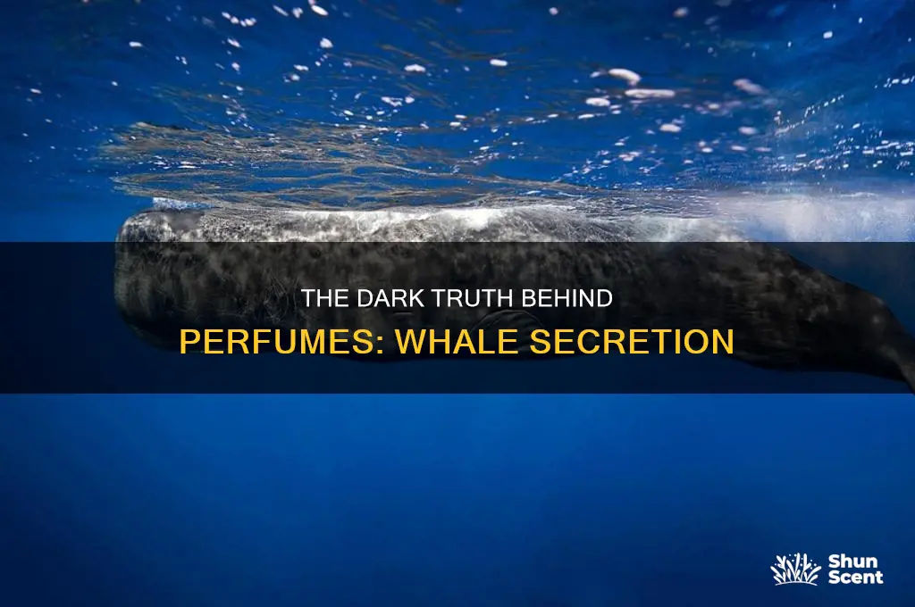 what is used in perfume from whales