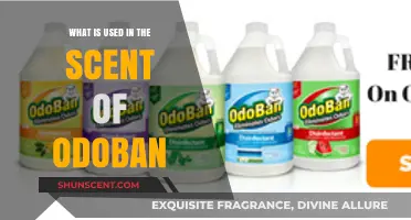 Unveiling Odoban's Signature Scent: Key Ingredients and Their Uses