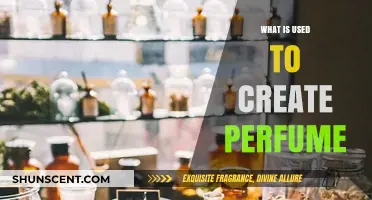 The Art of Perfume: Ingredients and Creation