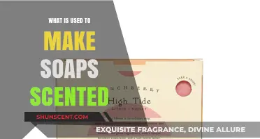 Exploring the Ingredients Behind Fragrant Soaps: A Scented Journey