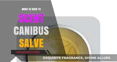 Essential Oils and Botanicals: What’s Used to Scent Cannabis Salve?