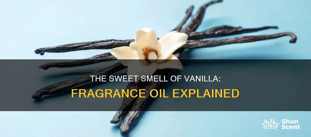 what is vanilla fragrance oil