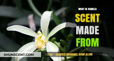 Unveiling the Origins: What Natural Ingredients Create Vanilla Scent?
