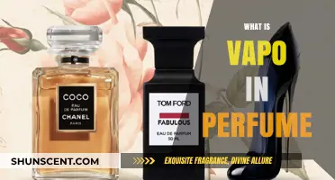 The Power of Perfume Vapo: What's Inside?