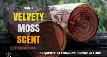Unveiling the Enchanting Velvety Moss Scent: A Nature-Inspired Fragrance Journey
