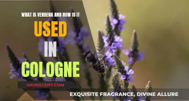 Verbena's Magic in Colognes: A Fragrant Exploration